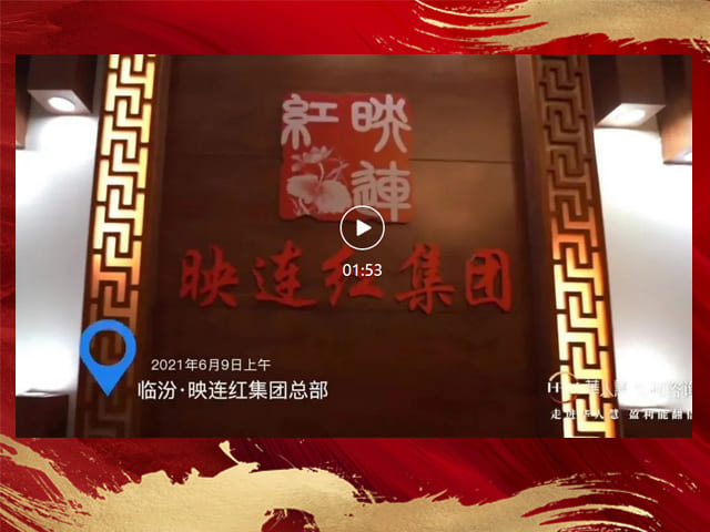 山西映连红集团咨询调研